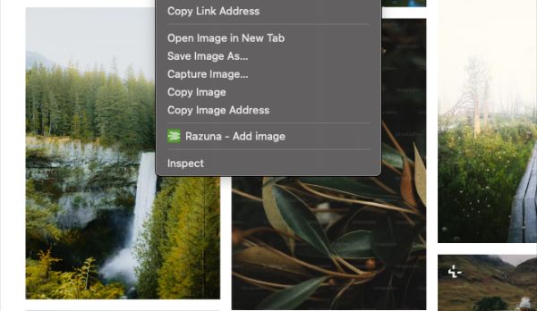 Razuna - gather and organize your web